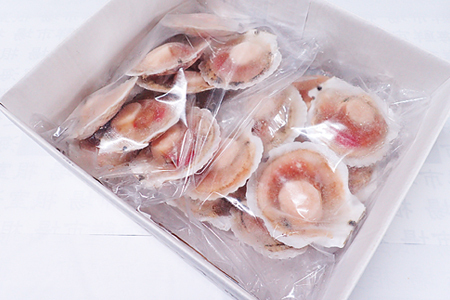 ＼漁業者応援品／片貝ほたて10枚×2P A-11121