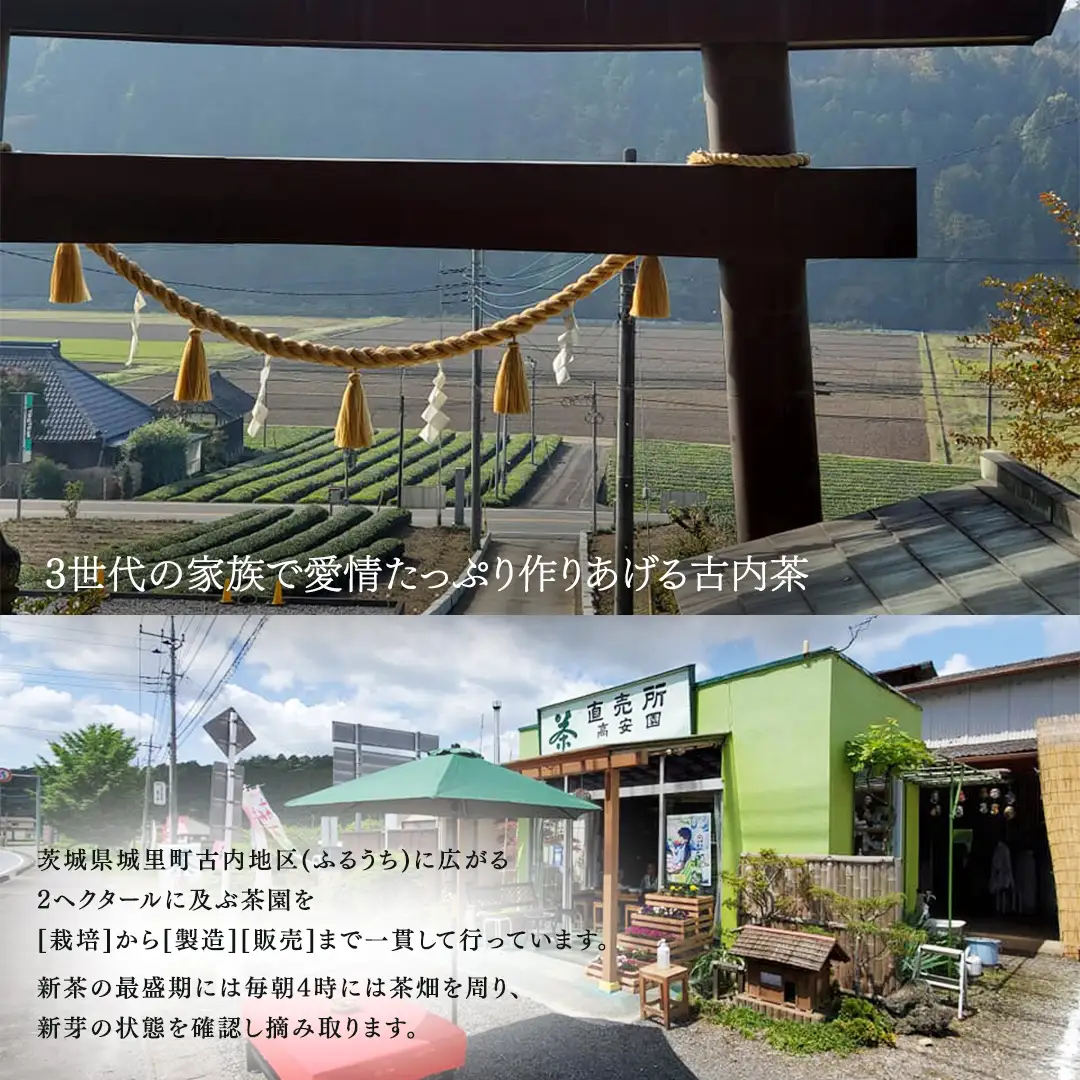 ふるうち和紅茶詰め合わせセット (AD004)