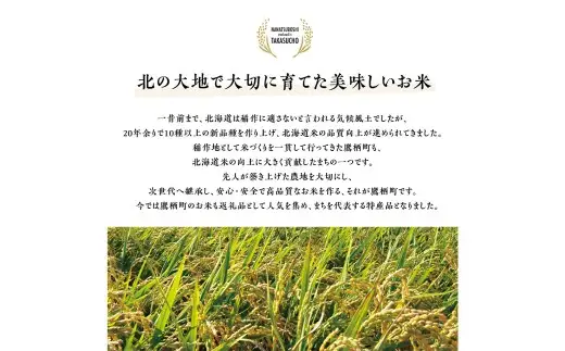 【令和7年産】 ななつぼし （白米） 5kg×1袋 ／ 米 コメ こめ ご飯 お米 ライス 北海道 鷹栖町 送料無料
