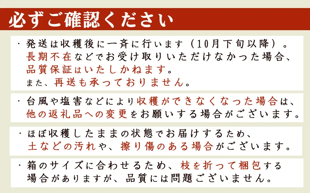 【幻の枝豆】十日限りの収穫！鴨川の伝統品種『鴨川七里』枝付き ２kg以上 《数量限定》《期間限定》《10月下旬一斉発送》えだまめ エダマメ 枝豆 在来種 極晩生 在来種 限定生産 農家直送 収穫したて 採れたて 枝付き枝豆 [貝渚七里会][0012-0082]