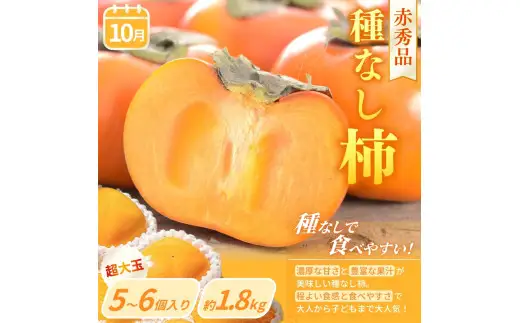 【定期便4回】旬の フルーツ定期便 / はれひめ みかん いちご まりひめ 桃 秀品 柿 種無し フルーツ 定期便 ふるーつ定期便 フルーツ 詰め合わせ 果物定期便 春フルーツ 夏フルーツ 秋フルーツ 冬フルーツ 産地直送 ※離島への配送不可【kgr530-4】