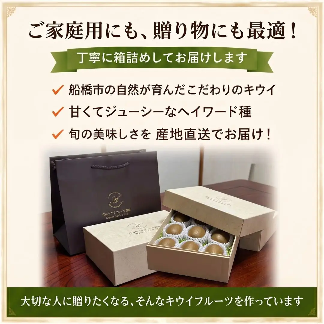 キウイフルーツ ヘイワード 中サイズ 5玉 約700g 追熟処理済み 化粧袋付き 1月発送分