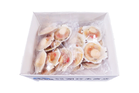 ＼漁業者応援品／片貝ほたて10枚×2P A-14134