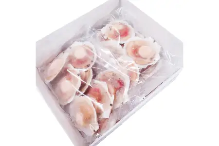 ＼漁業者応援品／根室海鮮市場[直送]片貝ほたて10枚×2P A-28124