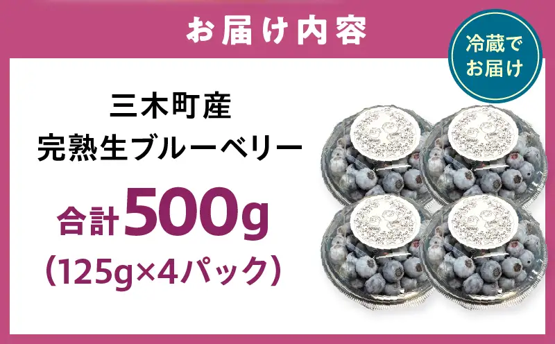 完熟生ブルーベリー約500g|生ブルーベリー 完熟 フルーツ 眼に良い フレッシュ ジューシー 香り 旬の果物 香川県 三木町 |_mk173-005