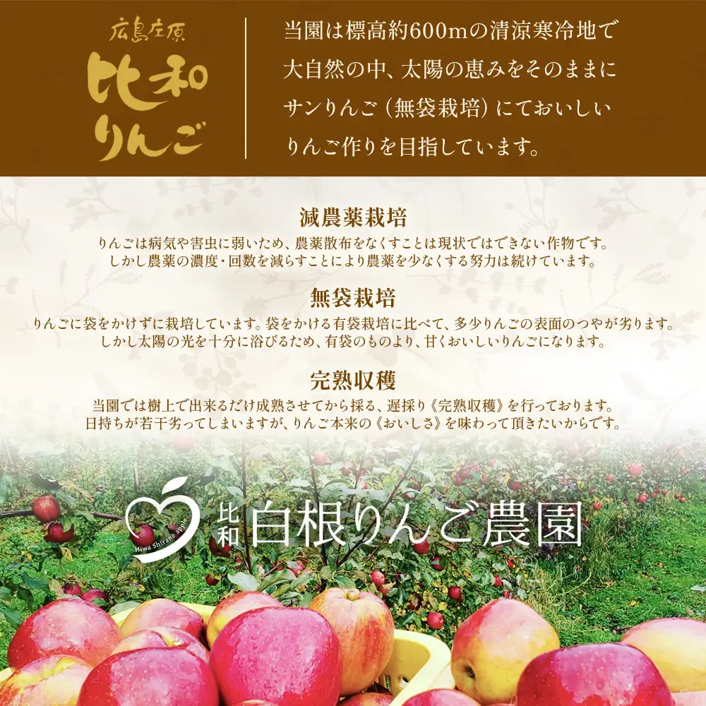 【テレビで紹介されました】白根りんご農園 100% りんごジュース 720ml×3本 リンゴ 林檎 果汁 3種飲み比べセット