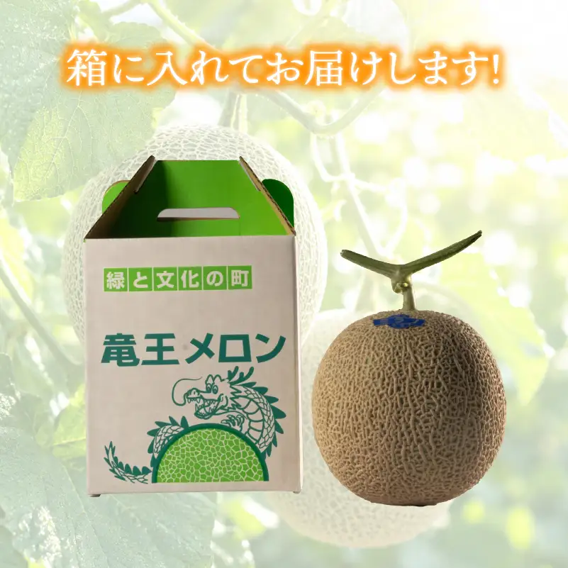 特選 メロン 青肉 4L 1玉 メロン メロン メロン メロン