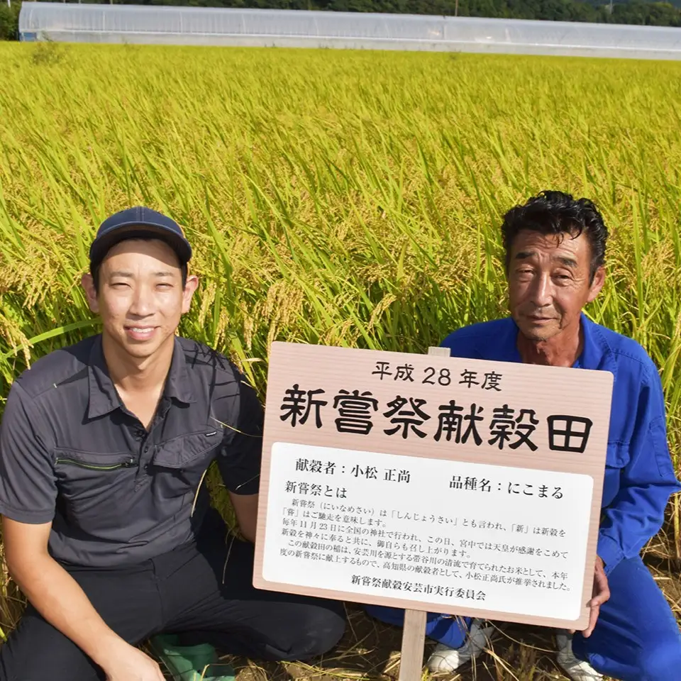 先行受付 令和8年産 玄米 40kg 10kg×4回 【こしひかり玄米】