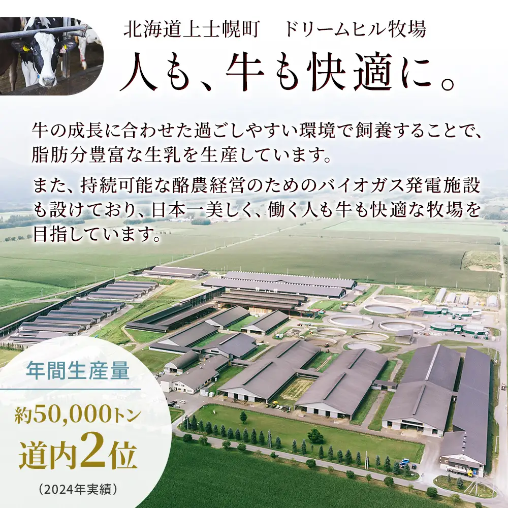ドリームヒル 牧場の幸まるごと 5ヵ月 定期便 Bコース 5回定期便 バスクチーズケーキ 牛タン サガリ アイス ジェラート ハンバーグ ソフトクリーム 国産 北海道 牛 肉 牛肉 国産牛 お菓子 スイーツ 牛肉 焼肉 冷凍