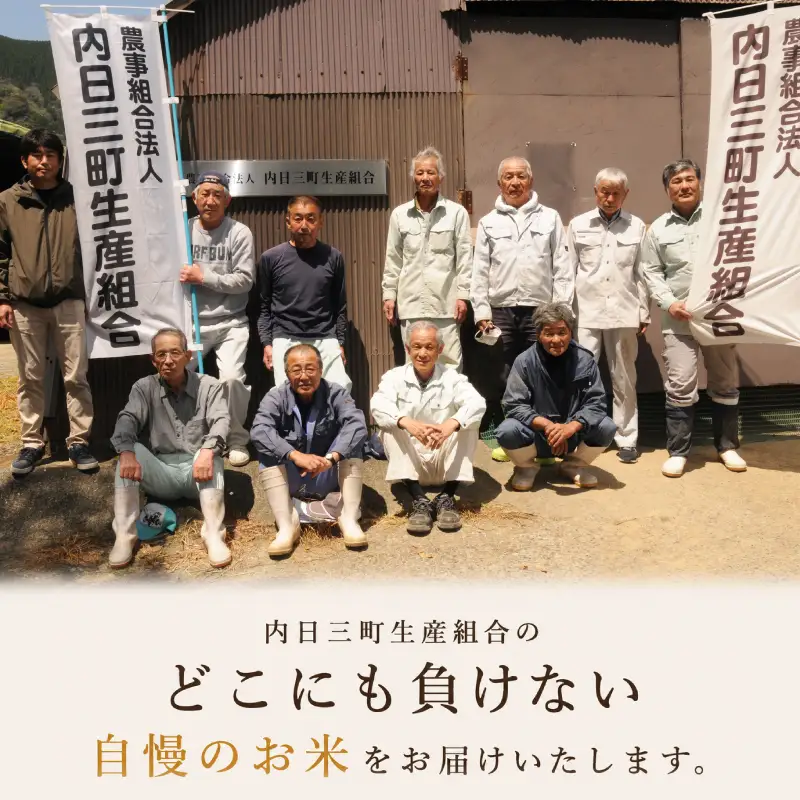 【先行予約】 きぬむすめ 10kg (5kg×2袋) 無洗米 令和8年産 【11月以降順次発送】 山口県産 《内日三町：DZ》