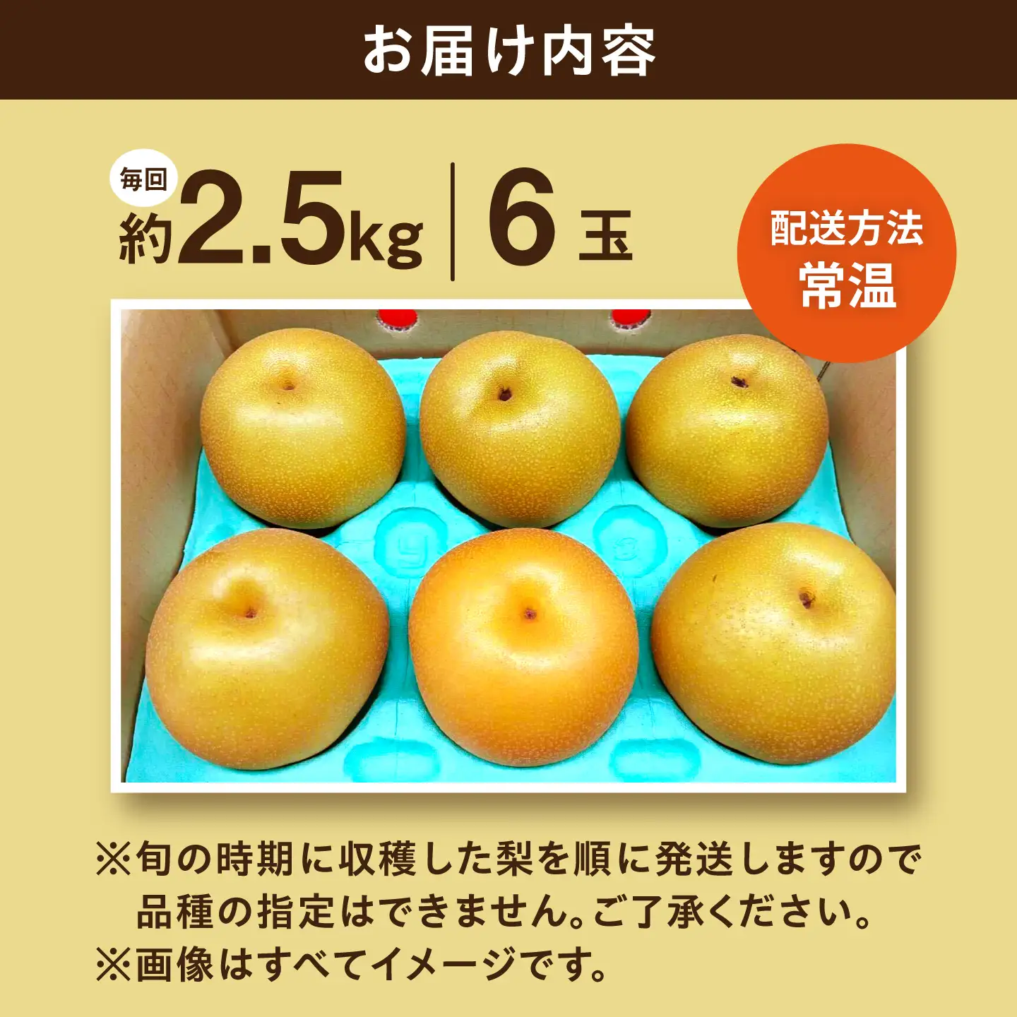 【2回定期便】朝採り旬の梨 約2.5kg（6玉）/回 計5kg 大村市 産直松吉/梨 なし 定期便 梨 幸水 豊水 秋麗 あきづき 新高 20世紀 二十世紀 かんた[ACZC012]