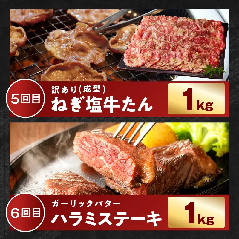わくわくお肉定期便 全6回 合計7kg