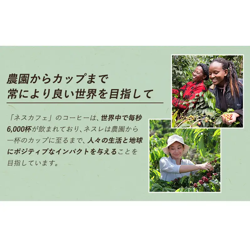 インスタントコーヒー ネスレ日本 ネスカフェ アイスブレンド スティックブラック (2g×20P)×12箱入 小分け 兵庫 兵庫県 姫路市
