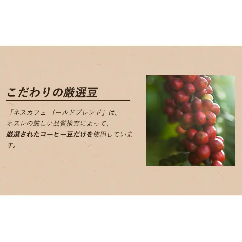 インスタントコーヒー ネスレ日本 ネスカフェ プレミアム レギュラーソリュブルコーヒー ギフトセット N35-A 兵庫 兵庫県 姫路市
