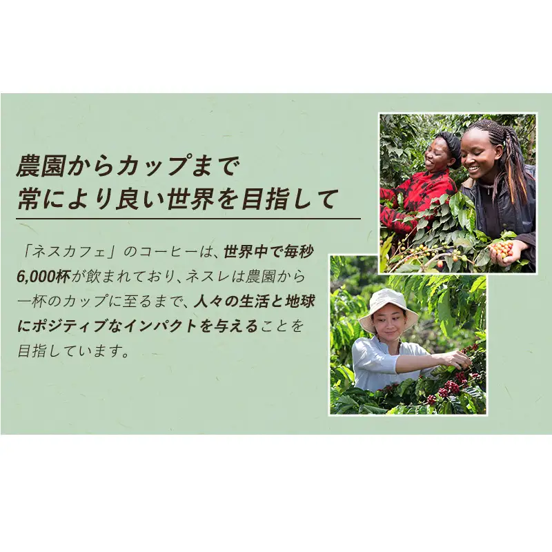 インスタントコーヒー ネスレ日本 ネスカフェ プレミアム レギュラーソリュブルコーヒー ギフトセット N45-A 兵庫 兵庫県 姫路市