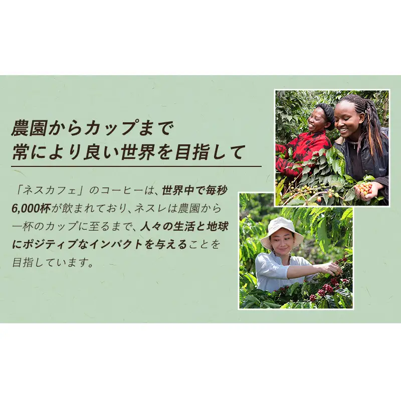 インスタントコーヒー ネスレ日本 ネスカフェ プレミアム レギュラーソリュブルコーヒー ギフトセット N55-A 兵庫 兵庫県 姫路市