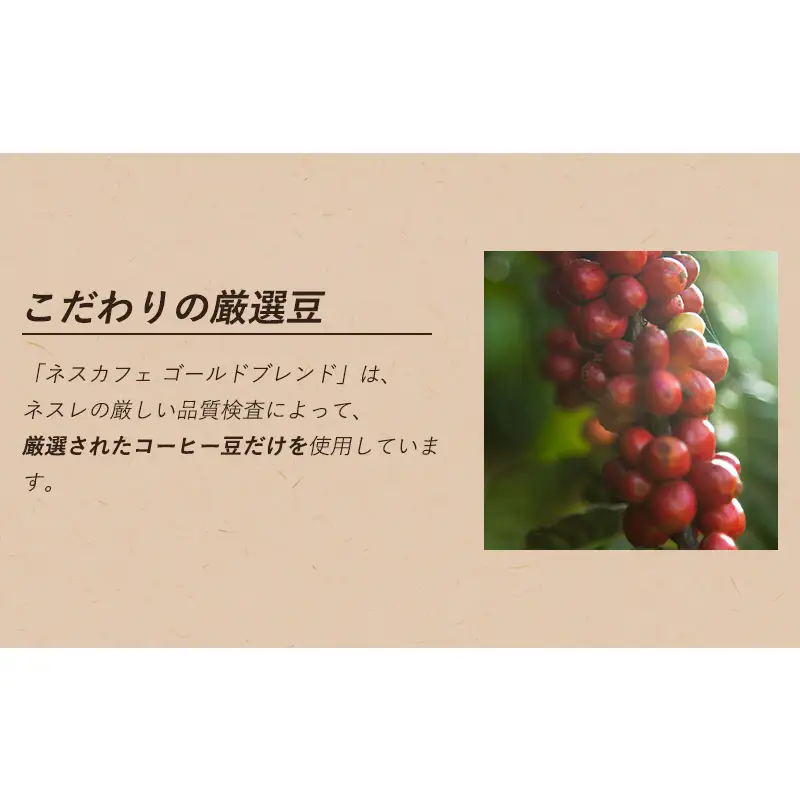 インスタントコーヒー ネスレ日本 ネスカフェ ゴールドブレンド プレミアムスティックブラック ギフトセット N35-CBS 兵庫 兵庫県 姫路市