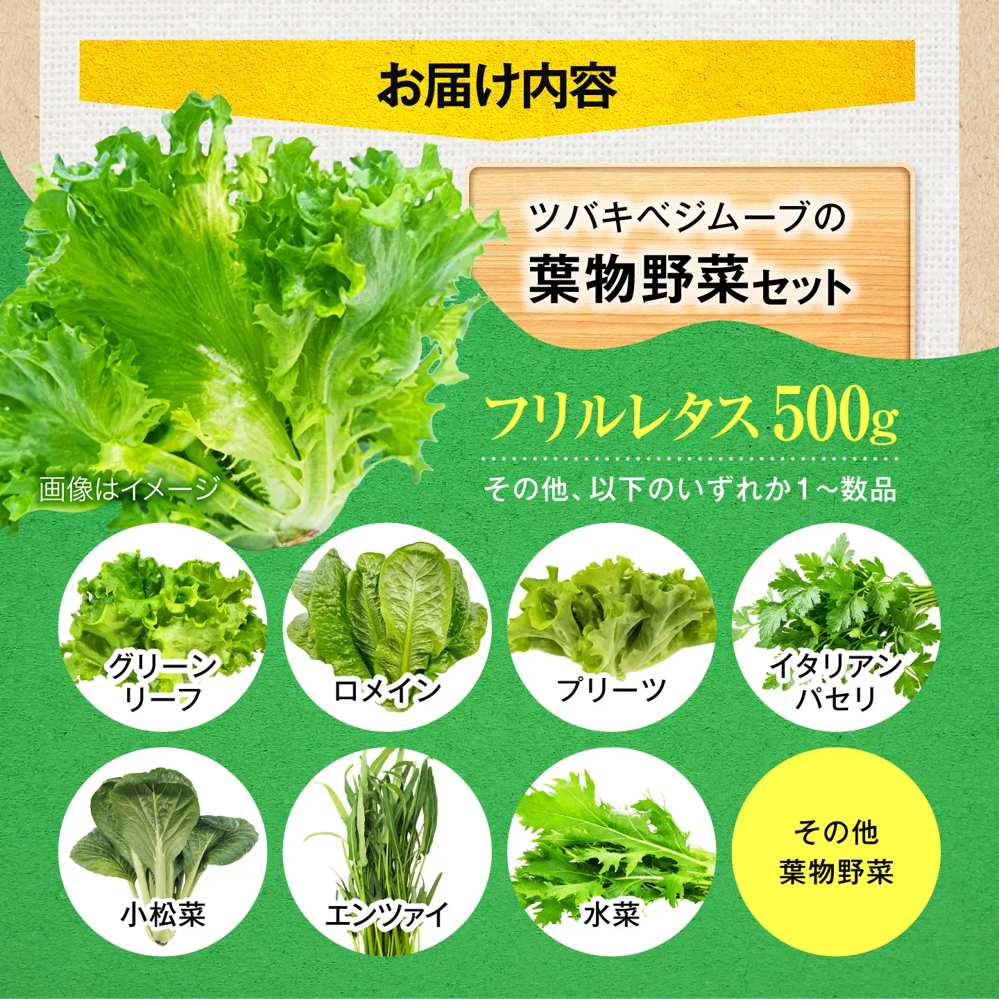 ツバキベジムーブの野菜セット フリルレタスと何が入るかお楽しみ /サラダ レタス 葉野菜 サンドイッチ 小浜市 / ツバキベジムーブ【配送不可地域：北海道・沖縄・離島】[BFEP001]