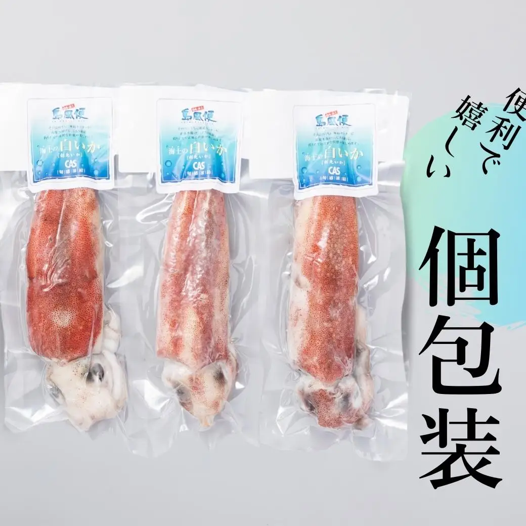 【高級白いか丸ごと 160g×3杯セット】ぷりぷり甘い朝どれ白いか 刺身用 ケンサキイカ