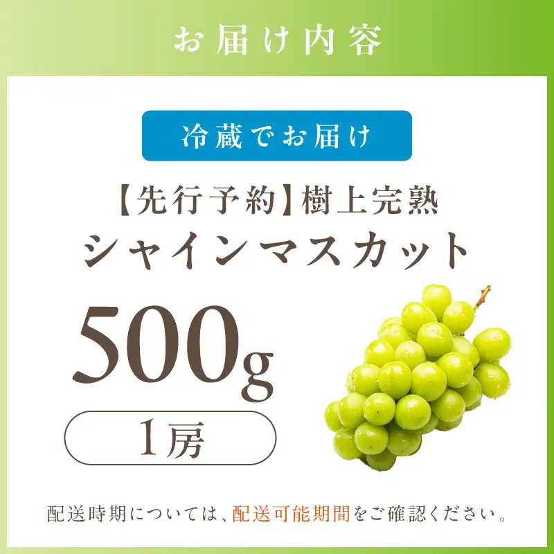 【先行予約】樹上完熟 シャインマスカット 500g（1房）（2026年9月中旬～発送）