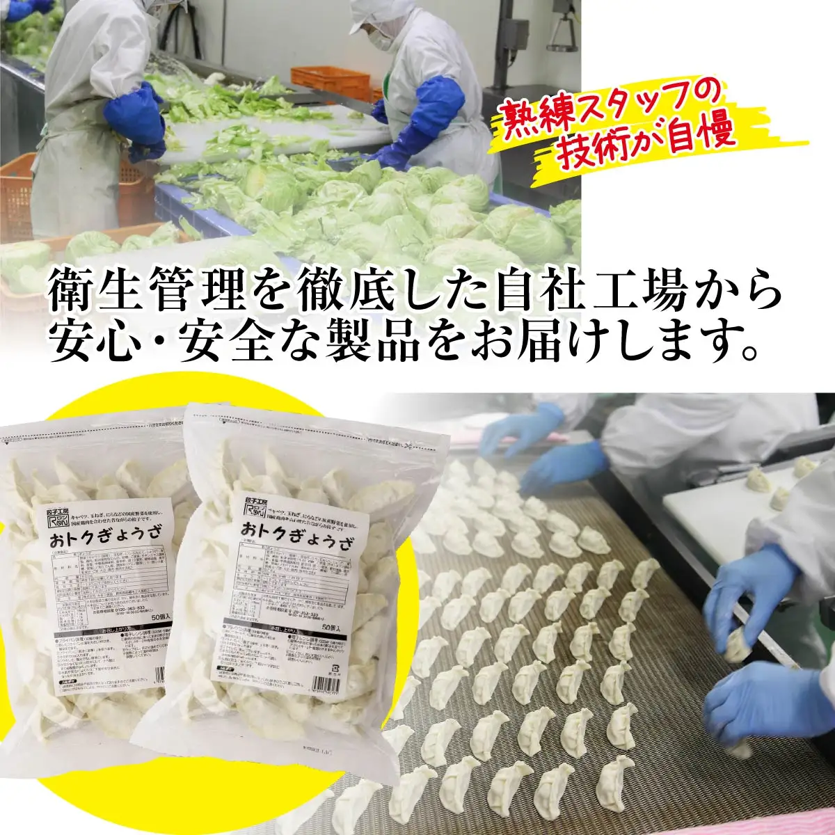 餃子 訳あり 6ヶ月定期便 たっぷり 100個 大容量 冷凍餃子