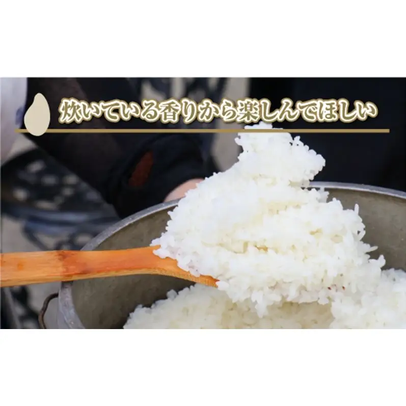 【令和8年産 先行予約】【定期便／全3回】無洗米2kg 新潟県魚沼産コシヒカリ「山清水米」