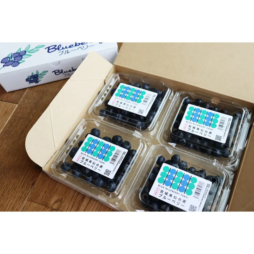 仙台市秋保産ブルーベリー (120gパックｘ4個　合計480g