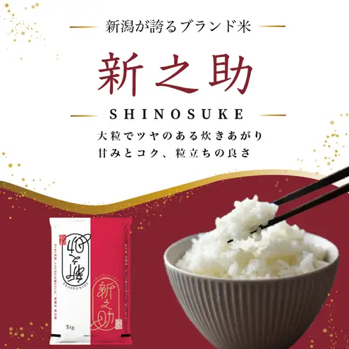 先行予約【10月より順次出荷】令和8年産 新潟県 上越市産 新之助 5kg 白米 精米 送料無料 塩崎農場