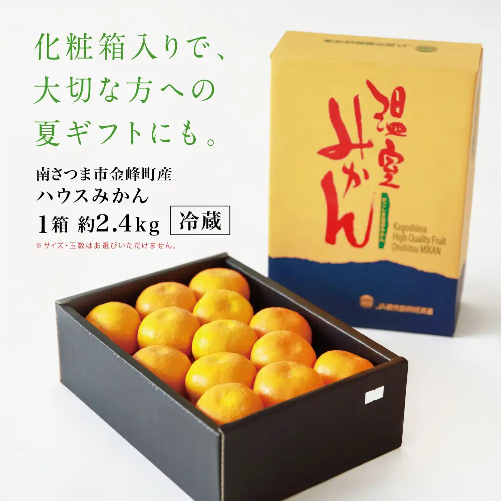 鹿児島県産 ハウスみかん 約2.4kg【 先行受付 ★7月～8月発送★】 化粧箱入り 先行予約 柑橘 みかん ミカン 蜜柑 ハウスミカン 温室 温州ミカン 温州みかん 旬 数量・期間 限定 国産 果実 果物 くだもの フルーツ 果肉 果汁 食品 デザート スイーツ おやつ 甘い 旬 季節限定 季節の果物 おすすめ ご褒美 贅沢 グルメ お取り寄せ JAさつま日置 鹿児島 鹿児島県 南さつま市
