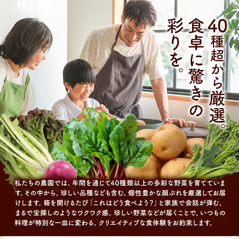 野菜 季節の野菜 10品 詰め合わせ セット ほのぼのしいば農園《5月上旬-7月下旬頃出荷》