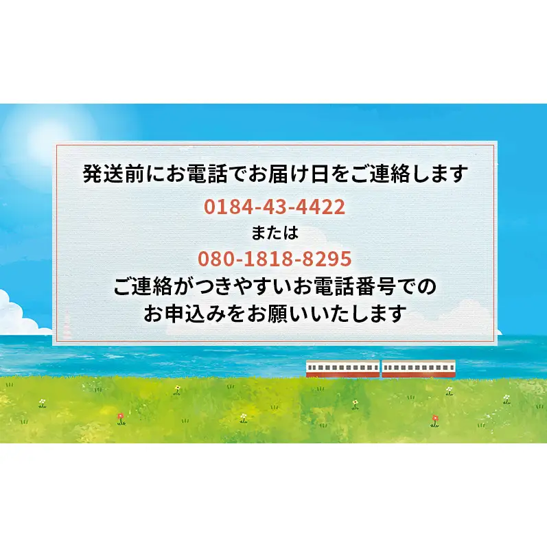 【先行予約】天然岩牡蠣 13~15個 生食可 象潟産 ナイフ付 牡蠣