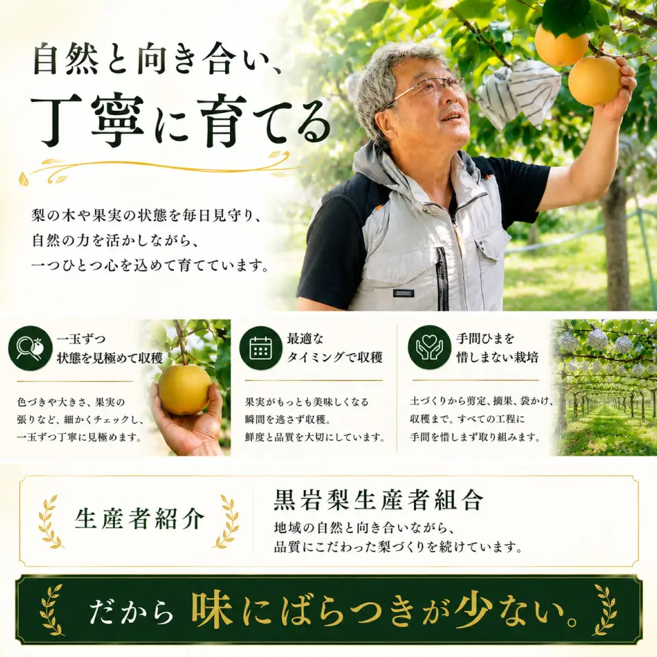 【ふるさと納税】＜梨 凛夏りんか 【期間・数量限定】＞梨 約3kg 4～7玉 フルーツ fruit 高知県 佐川町 黒岩梨生産者組合 【常温】