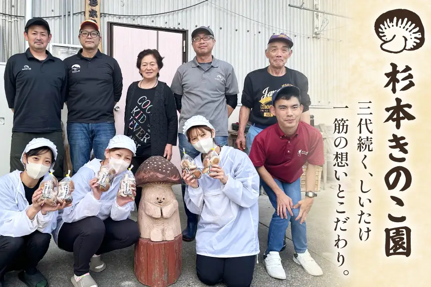 生しいたけ セット 約300g× 2袋 約150g× 2袋 計4袋 約900g [杉本きのこ園 宮崎県 美郷町 31bs0001]