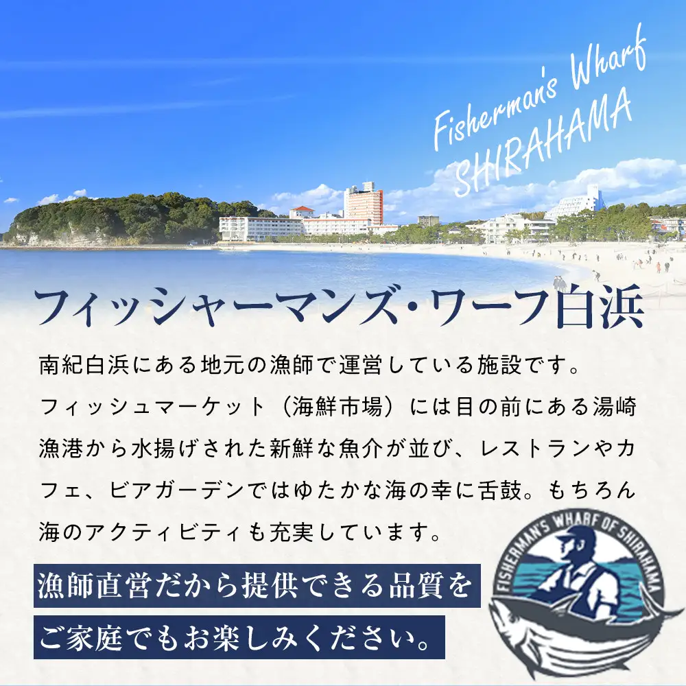 CAS凍結 南紀の誉れ 旬 の 海産物 6品 セット お楽しみ 簡単調理 干物 お造り 塩焼き など