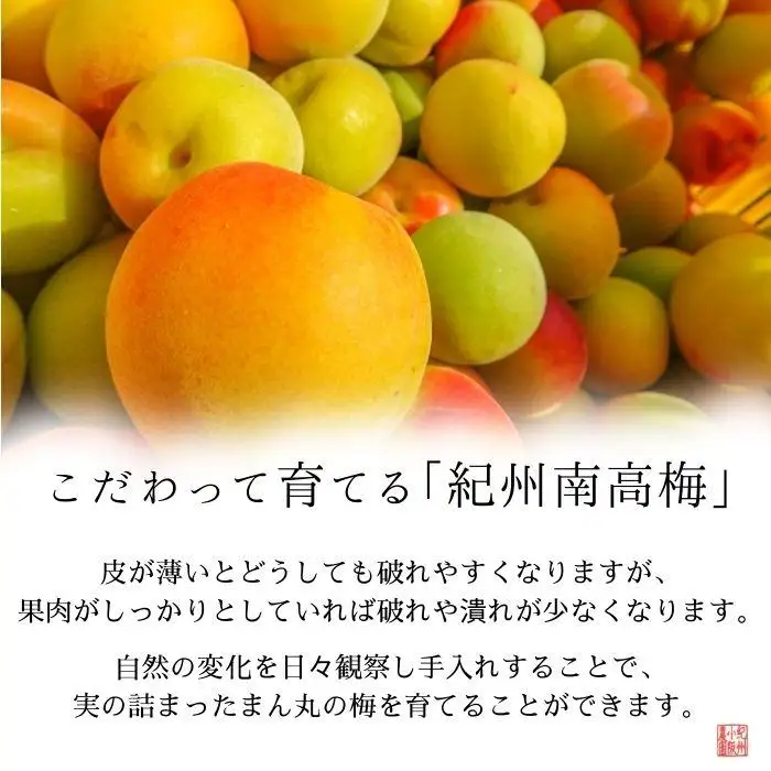 はちみつ梅　ぽってり特選（400ｇ）紀州南高梅【梅農家手づくり梅干】