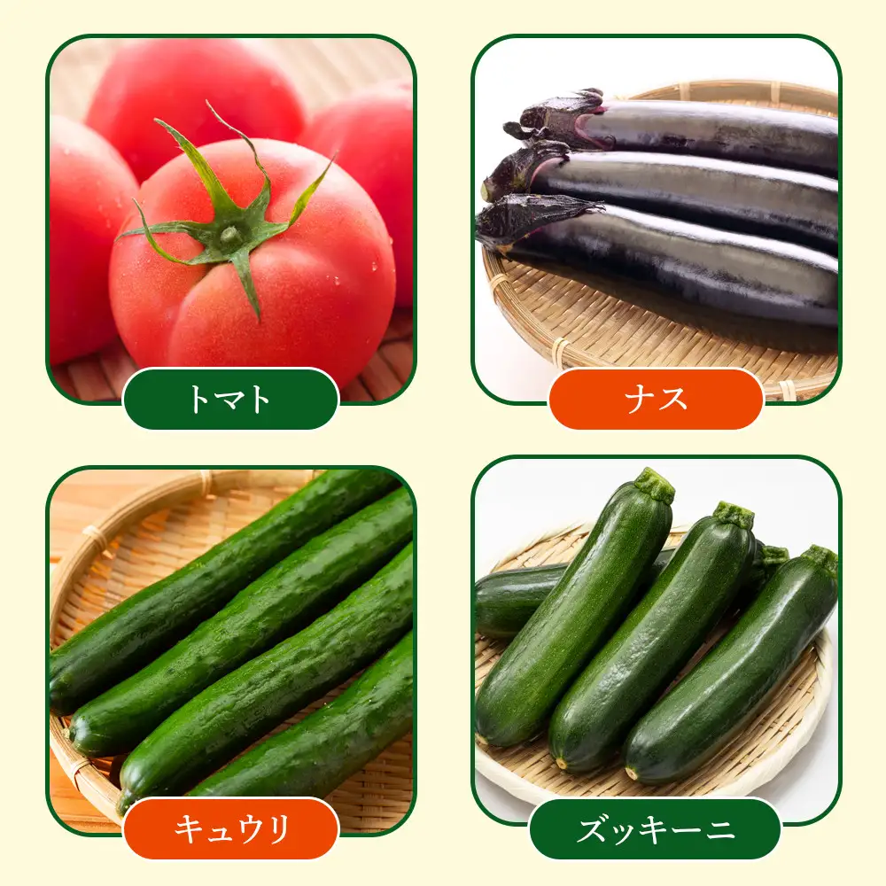 【先行予約】旭川のおまかせ野菜セット(6種以上)(2026年7月下旬発送開始) 野菜セット _05908