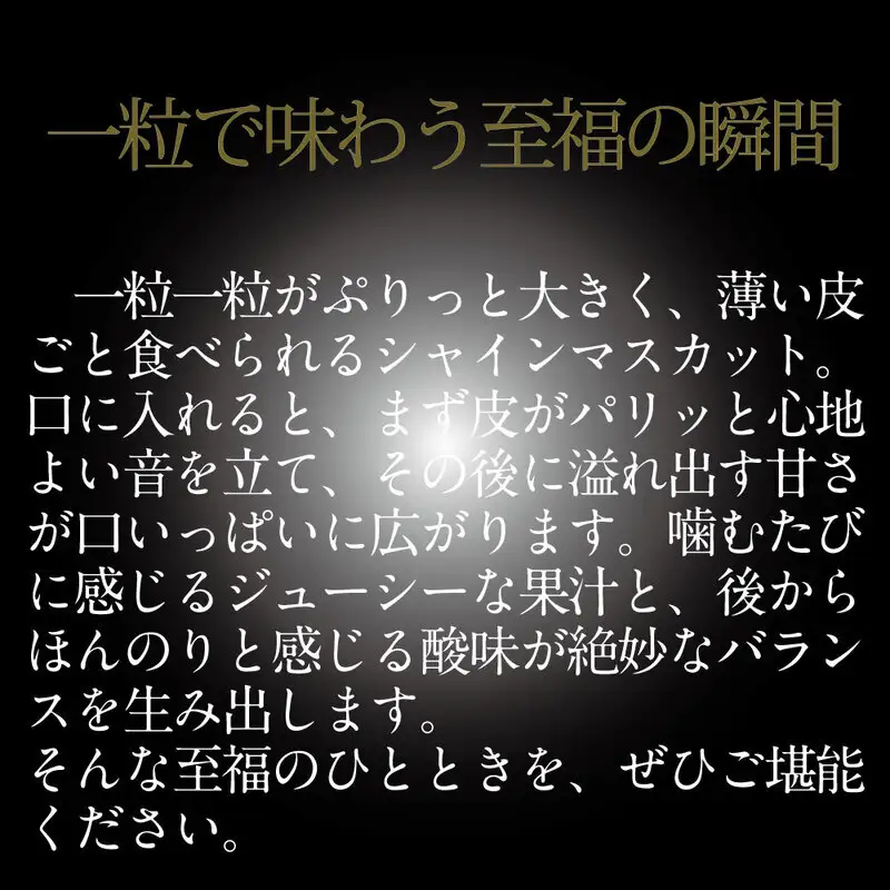 [HS]【定期便全3回】ぶどう先行予約7月・8月・9月発送温室シャインマスカット晴王2房（合計約1.2kg）ブドウ 葡萄  岡山県産 国産 フルーツ 果物 ギフト デザート 食後 酸味が少ない 産地直送