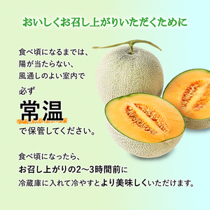 【令和8年産】赤肉メロン JAふらの厳選！ 約2kg 2玉 メロン めろん 富良野メロン 果物 くだもの フルーツ 富良野 デザート 北海道 果物類 メロン赤肉