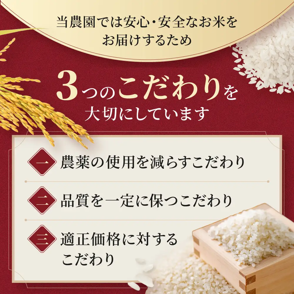 【１か月以内発送】令和7年産　ゆめぴりか 玄米 5kg×1袋_05843