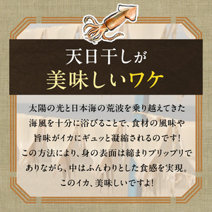 イカ 青森県産 一本釣りいか 使用 鰺ヶ沢 名物 天日生干しイカ セット （900g以上4枚～6枚入り） いか 干物 干物セット 国産 するめ スルメ スルメイカ 海鮮 魚介類 魚介 海産物 ※ ご入金確認後 3ヶ月以内の発送になります。 青森県鰺ヶ沢町 