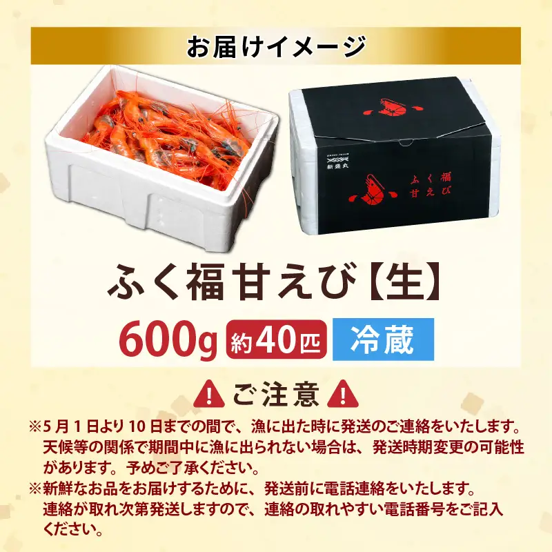 先行予約 新鮮 ふく福甘えび（生）600g 2026年9月上旬以降順次発送予定 冷蔵発送 エビ 海老 [A-13562]