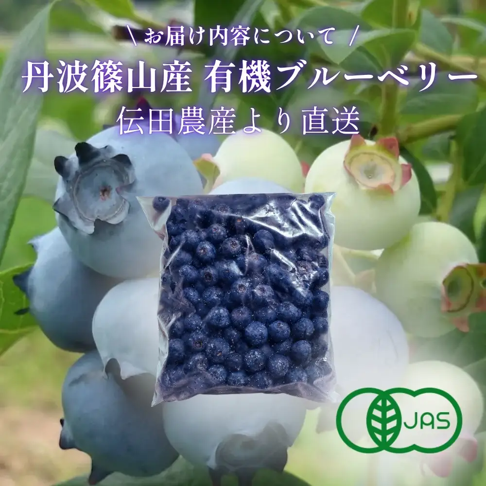 【予約数量限定】ブルーベリー 有機JAS認証 1kg 冷凍 無農薬