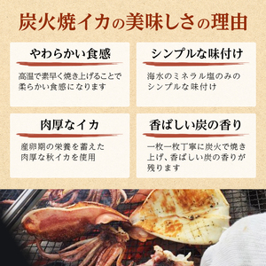 イカ 炭火焼きイカ 8パック セット 青森 いか 干物 干物セット するめ スルメ スルメイカ 海鮮 魚介類 魚介 海産物 国産 加工食品 惣菜 青森県 鰺ヶ沢町 ※ご入金確認後 3ヶ月以内の発送になります。 青森県鰺ヶ沢町 