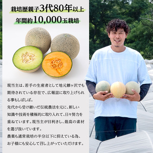 メロン 先行 予約 青森 減農薬栽培メロン 1玉 糖度16度以上保証 減農薬 青肉 赤肉 青肉メロン 赤肉メロン フルーツ 果物 旬のフルーツ 旬の果物 旬 夏 レビュー 高評価 先行予約 2026 2026年 青森県