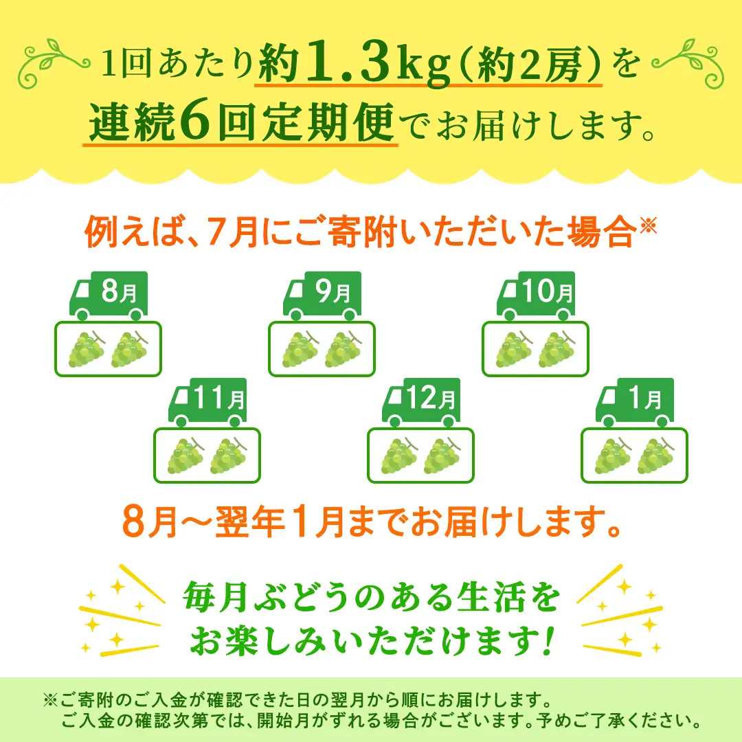 【定期便】6か月連続でお届け！ シャインマスカット 約1.3kg（約2房）【2026年8月から発送開始】（茨城県共通返礼品 [ぶどう]：結城市産）