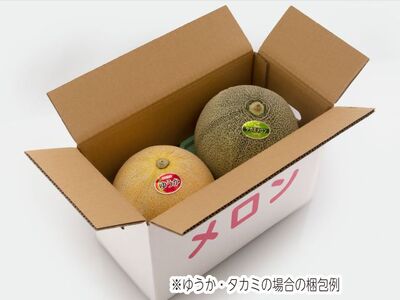 【先行予約2026年産】長谷川さんが作ったメロン2個（品種おまかせ） 7月～8月発送　青森県鰺ヶ沢町産 2玉 果物類 フルーツ メロン赤肉 