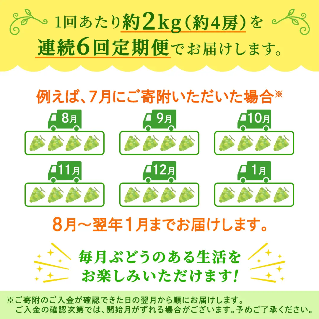 【定期便】6か月連続でお届け！ シャインマスカット 約2kg（約4房）【2026年8月から発送開始】（茨城県共通返礼品 [ぶどう]：結城市産）