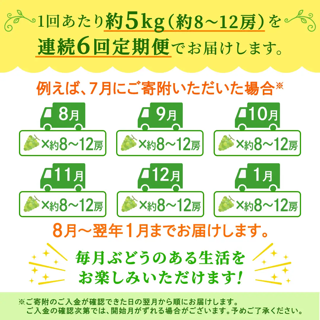 【定期便】6か月連続でお届け！ シャインマスカット 約5kg（約8～12房）【2026年8月から発送開始】（茨城県共通返礼品 [ぶどう]：結城市産）