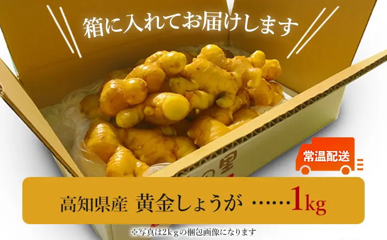 黄金しょうが 約1kg Xnb-0009