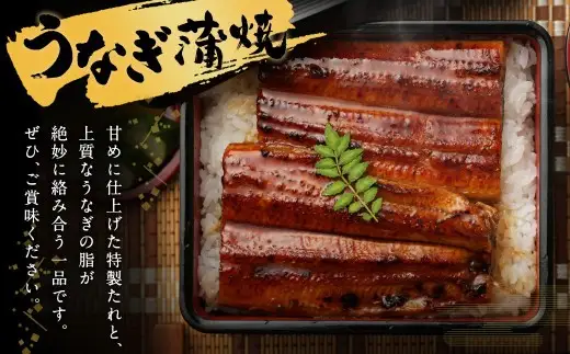 【土用の丑の日にお届け】鰻天屋の九州産うなぎ 蒲焼 約140g×2尾 セット